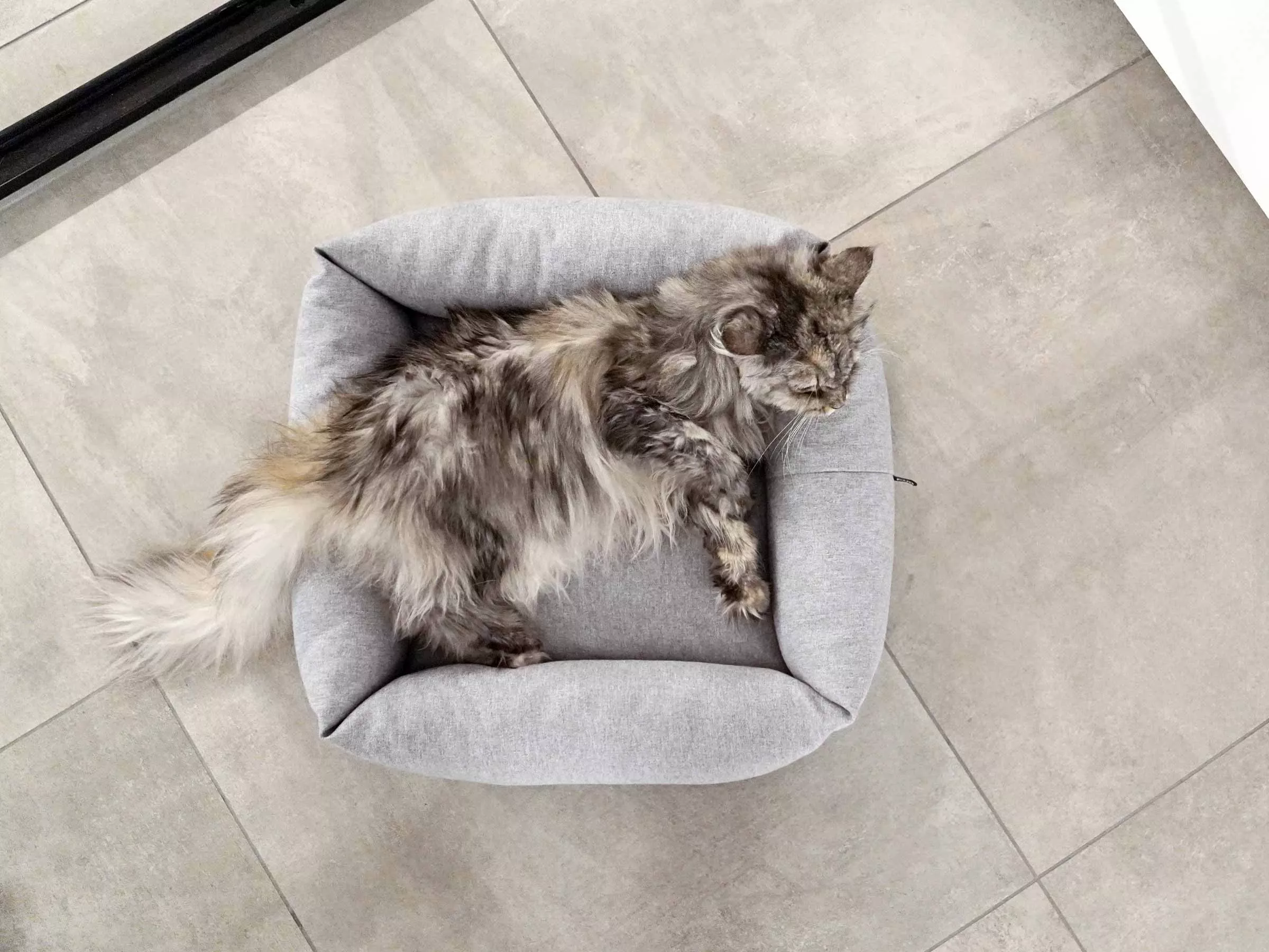 mypado Sena Silver Katzenbett