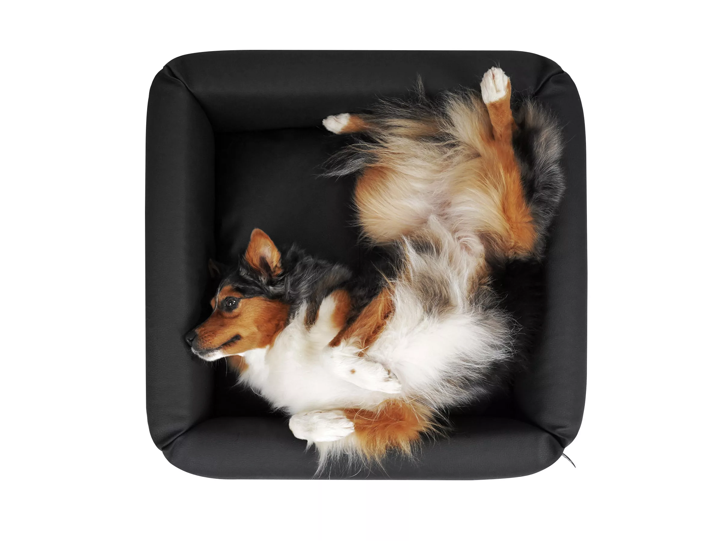 mypado Quadro Kunstleder-Premium Hundebett